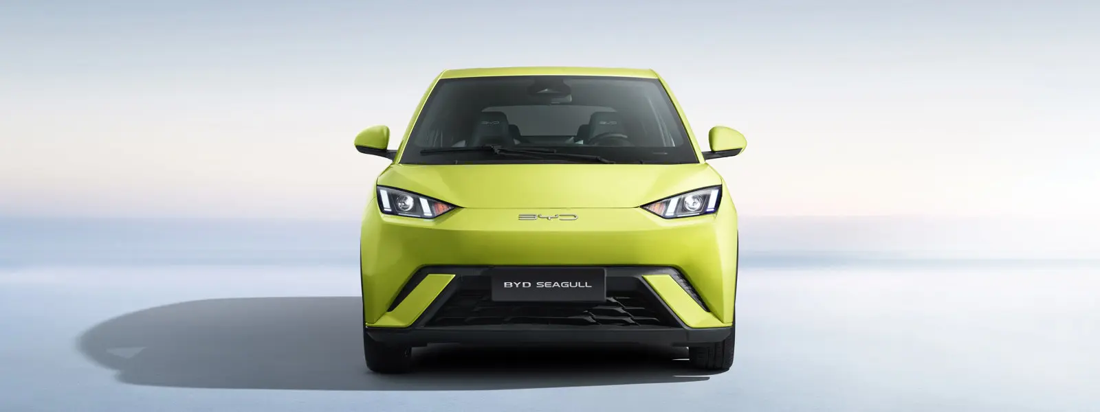 BYD Seagull 50 kW AT